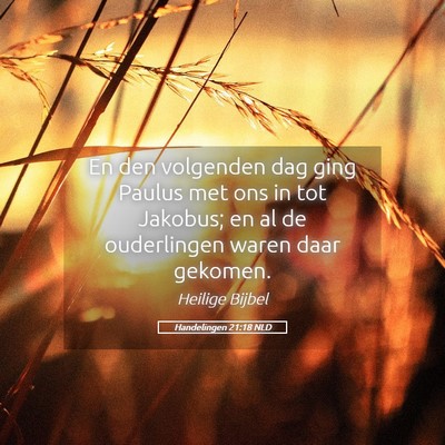 Picture 05 - Handelingen 21:18 NLD - En den volgenden dag ging Paulus met ons in tot - Bible Verse Picture