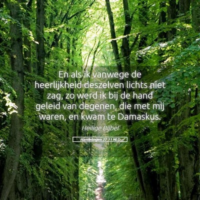 Picture 05 - Handelingen 22:11 NLD - En als ik vanwege de heerlijkheid deszelven - Bible Verse Picture