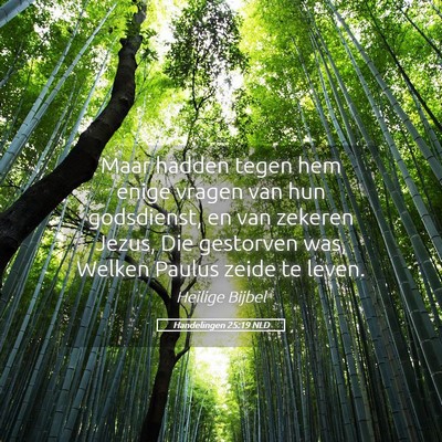 Picture 05 - Handelingen 25:19 NLD - Maar hadden tegen hem enige vragen van hun - Bible Verse Picture