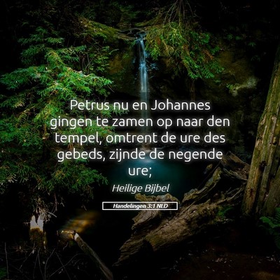 Picture 05 - Handelingen 3:1 NLD - Petrus nu en Johannes gingen te zamen op naar den - Bible Verse Picture