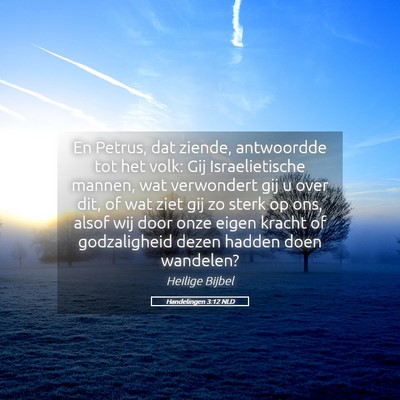 Picture 05 - Handelingen 3:12 NLD - En Petrus, dat ziende, antwoordde tot het volk: - Bible Verse Picture