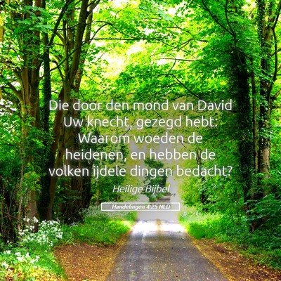 Picture 05 - Handelingen 4:25 NLD - Die door den mond van David Uw knecht, gezegd - Bible Verse Picture