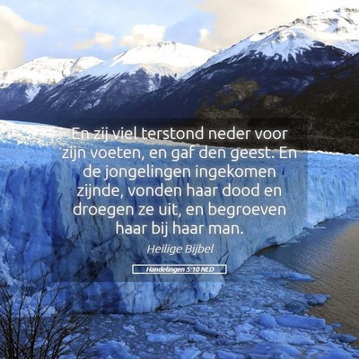 Picture 05 - Handelingen 5:10 NLD - En zij viel terstond neder voor zijn voeten, en - Bible Verse Picture
