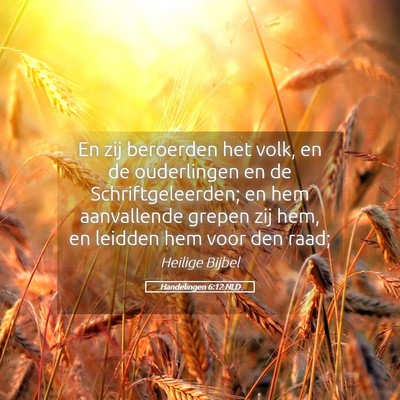 Picture 05 - Handelingen 6:12 NLD - En zij beroerden het volk, en de ouderlingen en - Bible Verse Picture