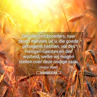 Picture 05 - Handelingen 6:3 NLD - Ziet dan om, broeders, naar zeven mannen uit u, - Bible Verse Picture