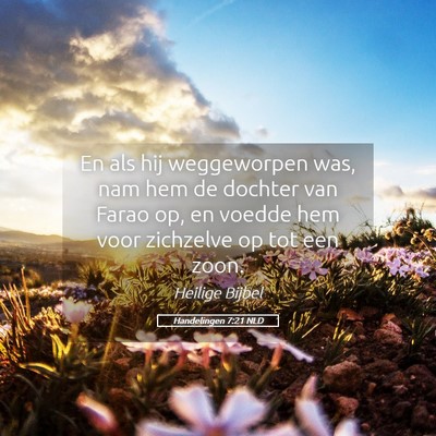 Picture 05 - Handelingen 7:21 NLD - En als hij weggeworpen was, nam hem de dochter - Bible Verse Picture