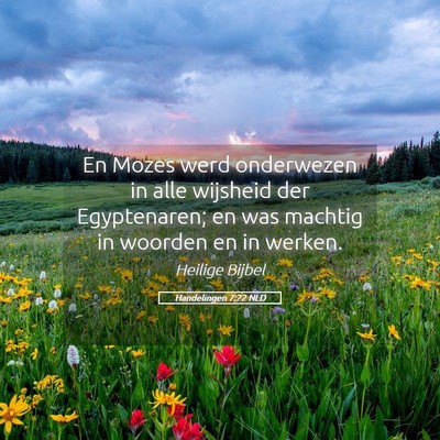 Picture 05 - Handelingen 7:22 NLD - En Mozes werd onderwezen in alle wijsheid der - Bible Verse Picture