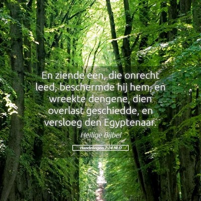 Picture 05 - Handelingen 7:24 NLD - En ziende een, die onrecht leed, beschermde hij - Bible Verse Picture