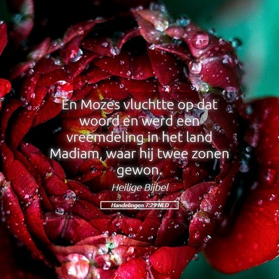 Picture 05 - Handelingen 7:29 NLD - En Mozes vluchtte op dat woord en werd een - Bible Verse Picture