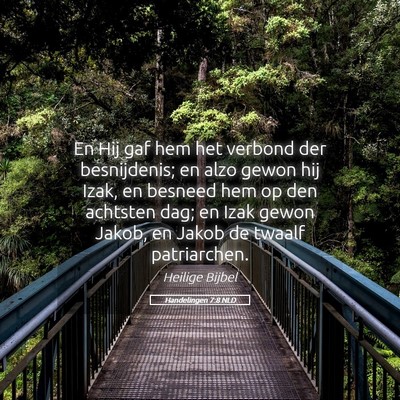 Picture 05 - Handelingen 7:8 NLD - En Hij gaf hem het verbond der besnijdenis; en - Bible Verse Picture