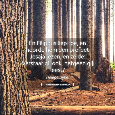 Picture 05 - Handelingen 8:30 NLD - En Filippus liep toe, en hoorde hem den profeet - Bible Verse Picture