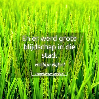 Picture 05 - Handelingen 8:8 NLD - En er werd grote blijdschap in die - Bible Verse Picture