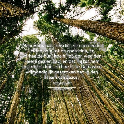 Picture 05 - Handelingen 9:27 NLD - Maar Barnabas, hem tot zich nemende, leidde hem - Bible Verse Picture