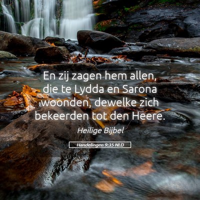 Picture 05 - Handelingen 9:35 NLD - En zij zagen hem allen, die te Lydda en Sarona - Bible Verse Picture