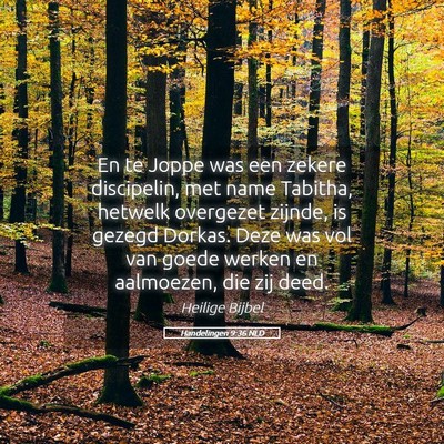 Picture 05 - Handelingen 9:36 NLD - En te Joppe was een zekere discipelin, met name - Bible Verse Picture