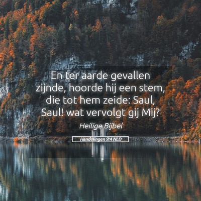 Picture 05 - Handelingen 9:4 NLD - En ter aarde gevallen zijnde, hoorde hij een - Bible Verse Picture