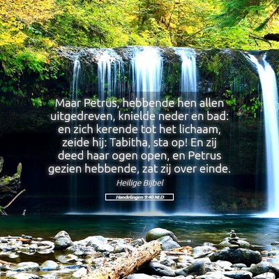 Picture 05 - Handelingen 9:40 NLD - Maar Petrus, hebbende hen allen uitgedreven, - Bible Verse Picture