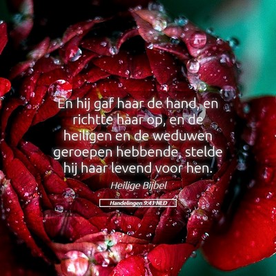 Picture 05 - Handelingen 9:41 NLD - En hij gaf haar de hand, en richtte haar op, en - Bible Verse Picture
