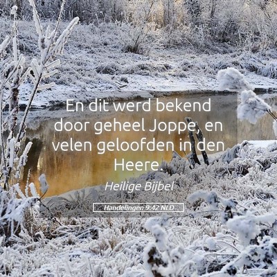 Picture 05 - Handelingen 9:42 NLD - En dit werd bekend door geheel Joppe, en velen - Bible Verse Picture