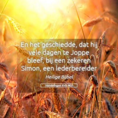 Picture 05 - Handelingen 9:43 NLD - En het geschiedde, dat hij vele dagen te Joppe - Bible Verse Picture
