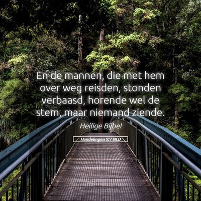 Picture 05 - Handelingen 9:7 NLD - En de mannen, die met hem over weg reisden, - Bible Verse Picture