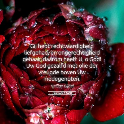 Picture 05 - Hebreeën 1:9 NLD - Gij hebt rechtvaardigheid liefgehad, en - Bible Verse Picture