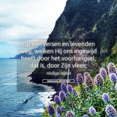 Picture 05 - Hebreeën 10:20 NLD - Op een versen en levenden weg, welken Hij ons - Bible Verse Picture