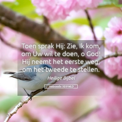 Picture 05 - Hebreeën 10:9 NLD - Toen sprak Hij: Zie, Ik kom, om Uw wil te doen, o - Bible Verse Picture