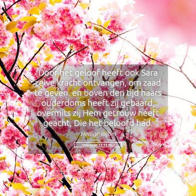 Picture 05 - Hebreeën 11:11 NLD - Door het geloof heeft ook Sara zelve kracht - Bible Verse Picture
