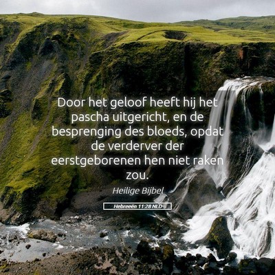Picture 05 - Hebreeën 11:28 NLD - Door het geloof heeft hij het pascha uitgericht, - Bible Verse Picture