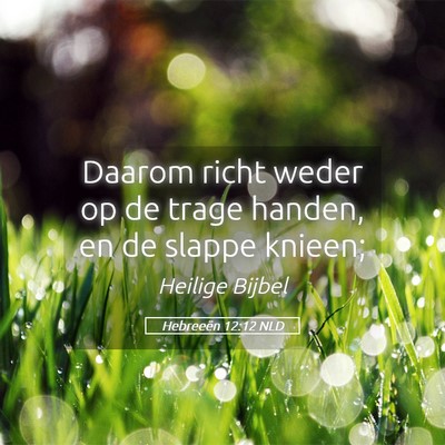 Picture 05 - Hebreeën 12:12 NLD - Daarom richt weder op de trage handen, en de - Bible Verse Picture