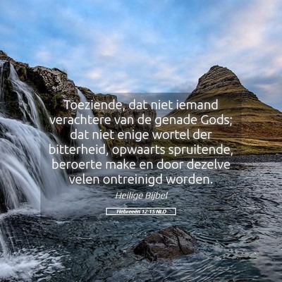 Picture 05 - Hebreeën 12:15 NLD - Toeziende, dat niet iemand verachtere van de - Bible Verse Picture