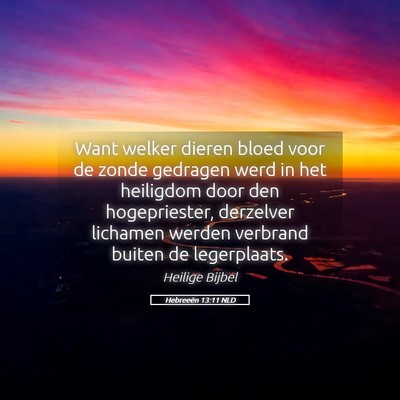 Picture 05 - Hebreeën 13:11 NLD - Want welker dieren bloed voor de zonde gedragen - Bible Verse Picture