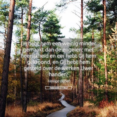 Picture 05 - Hebreeën 2:7 NLD - Gij hebt hem een weinig minder gemaakt dan de - Bible Verse Picture
