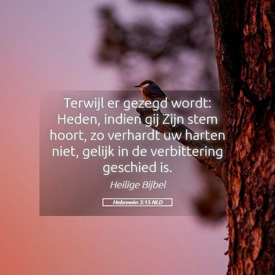 Picture 05 - Hebreeën 3:15 NLD - Terwijl er gezegd wordt: Heden, indien gij Zijn - Bible Verse Picture