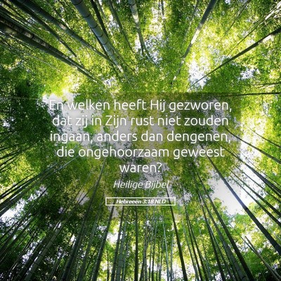 Picture 05 - Hebreeën 3:18 NLD - En welken heeft Hij gezworen, dat zij in Zijn - Bible Verse Picture