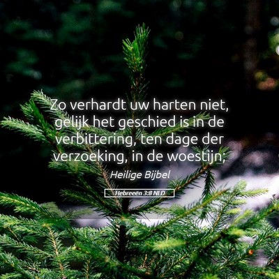 Picture 05 - Hebreeën 3:8 NLD - Zo verhardt uw harten niet, gelijk het geschied - Bible Verse Picture
