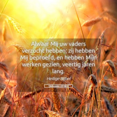 Picture 05 - Hebreeën 3:9 NLD - Alwaar Mij uw vaders verzocht hebben; zij hebben - Bible Verse Picture