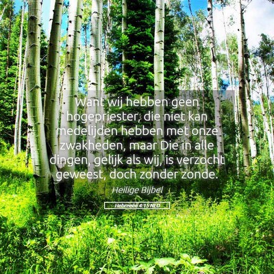 Picture 05 - Hebreeën 4:15 NLD - Want wij hebben geen hogepriester, die niet kan - Bible Verse Picture