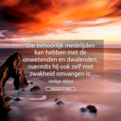 Picture 05 - Hebreeën 5:2 NLD - Die behoorlijk medelijden kan hebben met de - Bible Verse Picture
