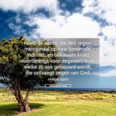 Picture 05 - Hebreeën 6:7 NLD - Want de aarde, die den regen, menigmaal op haar - Bible Verse Picture