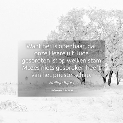 Picture 05 - Hebreeën 7:14 NLD - Want het is openbaar, dat onze Heere uit Juda - Bible Verse Picture