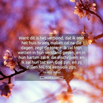Picture 05 - Hebreeën 8:10 NLD - Want dit is het verbond, dat Ik met het huis - Bible Verse Picture