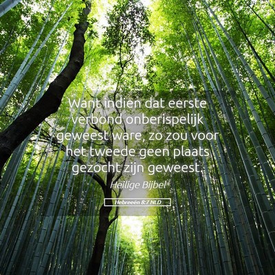 Picture 05 - Hebreeën 8:7 NLD - Want indien dat eerste verbond onberispelijk - Bible Verse Picture