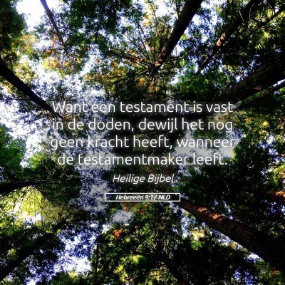 Picture 05 - Hebreeën 9:17 NLD - Want een testament is vast in de doden, dewijl - Bible Verse Picture