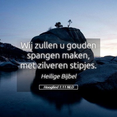 Picture 05 - Hooglied 1:11 NLD - Wij zullen u gouden spangen maken, met zilveren - Bible Verse Picture