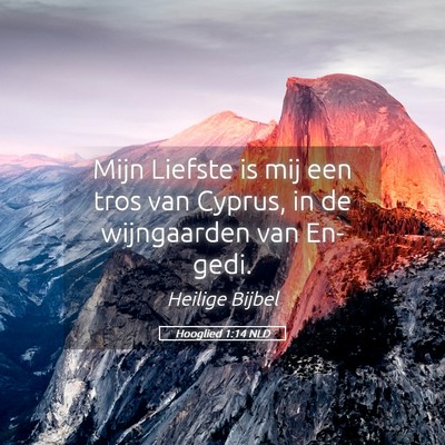Picture 05 - Hooglied 1:14 NLD - Mijn Liefste is mij een tros van Cyprus, in de - Bible Verse Picture