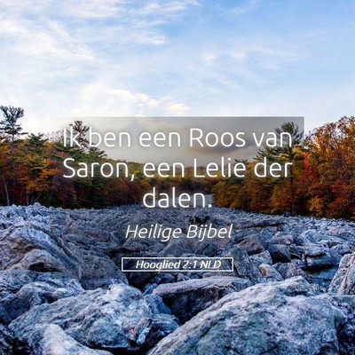 Picture 05 - Hooglied 2:1 NLD - Ik ben een Roos van Saron, een Lelie der - Bible Verse Picture