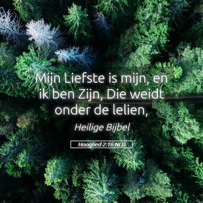 Picture 05 - Hooglied 2:16 NLD - Mijn Liefste is mijn, en ik ben Zijn, Die weidt - Bible Verse Picture
