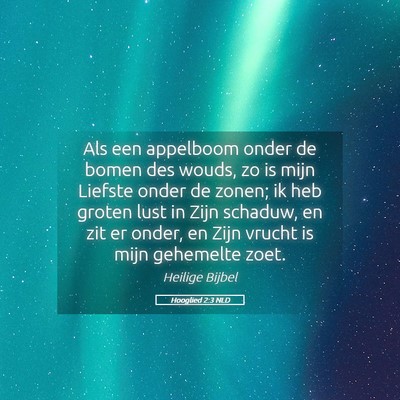 Picture 05 - Hooglied 2:3 NLD - Als een appelboom onder de bomen des wouds, zo is - Bible Verse Picture